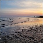 Bibione23064.jpg