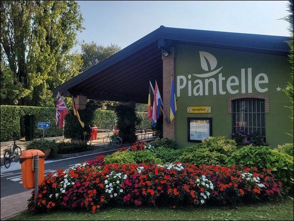 Piantelle23001.jpg