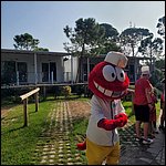Cavallino23012.jpg