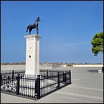 Cavallino23016.jpg