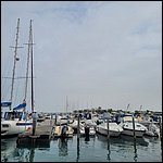 Cavallino23061.jpg