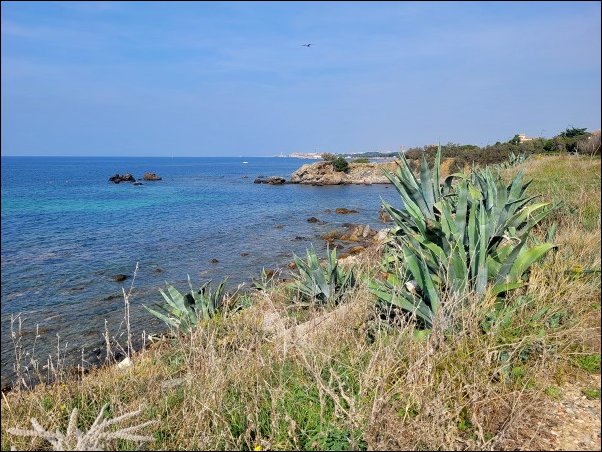 Livorno23047.jpg