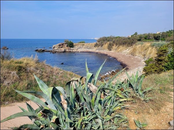 Livorno23048.jpg