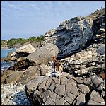 Livorno23012.jpg