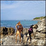 Livorno23014.jpg