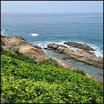 Livorno23017.jpg