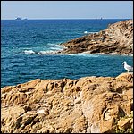 Livorno23031.jpg