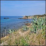 Livorno23047.jpg