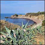 Livorno23048.jpg