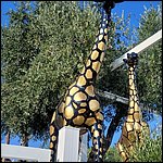 Moniga23012.jpg