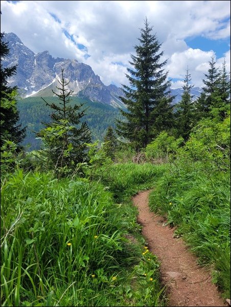 Dolomiten23031.jpg