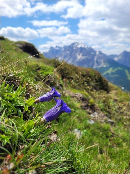 Dolomiten23056.jpg