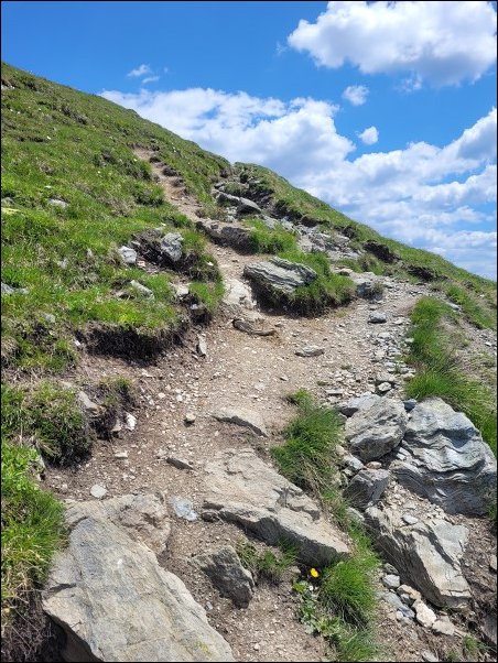 Dolomiten23061.jpg