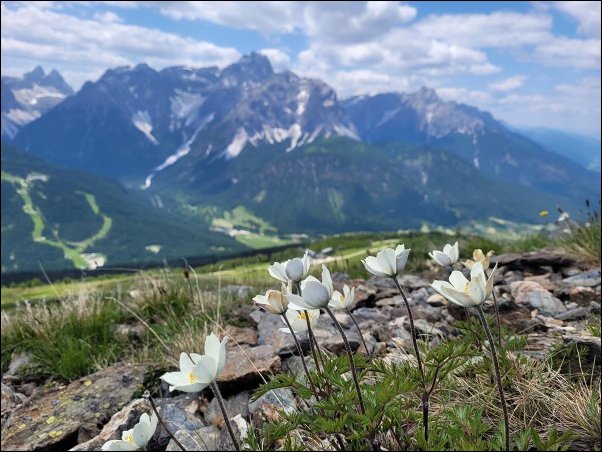 Dolomiten23064.jpg