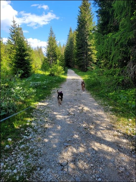 Dolomiten23073.jpg