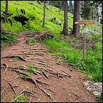 Dolomiten23030.jpg