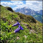 Dolomiten23056.jpg