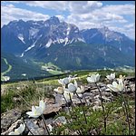 Dolomiten23064.jpg