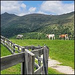 Dolomiten23069.jpg