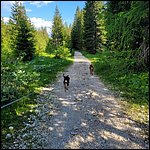 Dolomiten23073.jpg