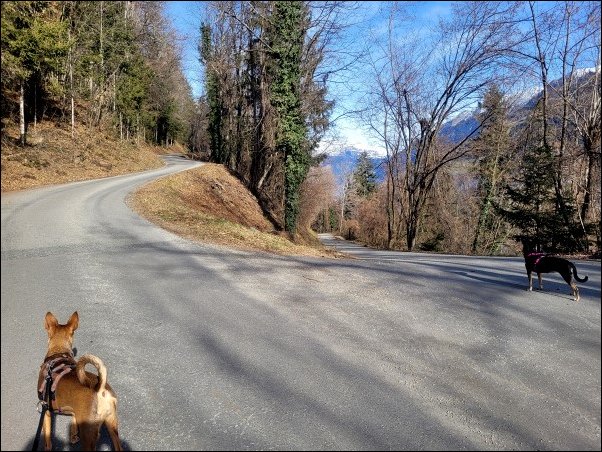Suedtirol24023.jpg