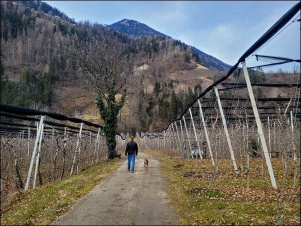 Suedtirol24029.jpg