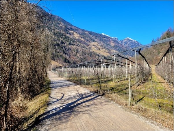 Suedtirol24084.jpg