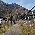 Suedtirol24029.jpg