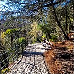 Suedtirol24032.jpg