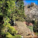 Suedtirol24033.jpg