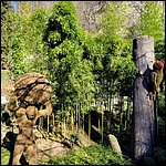 Suedtirol24034.jpg