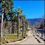 Suedtirol24054.jpg